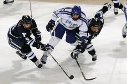 开云体育在线-跨界传奇，当骑士制霸奇才，字母哥在英超赛场接管争冠之战