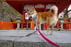 开云体育官方网站-厄德高闪耀破局，莱比锡红牛以高压风暴击溃亚特兰大