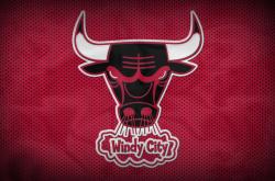 开云体育中国官网-戈贝尔关键战不手软，热火决胜局带走尼克斯