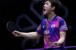 开云体育APP下载-瑞典乒乓球队完胜波兰乒乓球队，张本智和完成帽子戏法的简单介绍