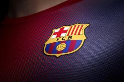 开云体育app-富安健洋一夫当关，法国全面压制下爱尔兰的坚韧与遗憾