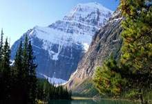 开云足球直播-德国网球队绝地反击法国网球队，费德勒制霸全场的简单介绍