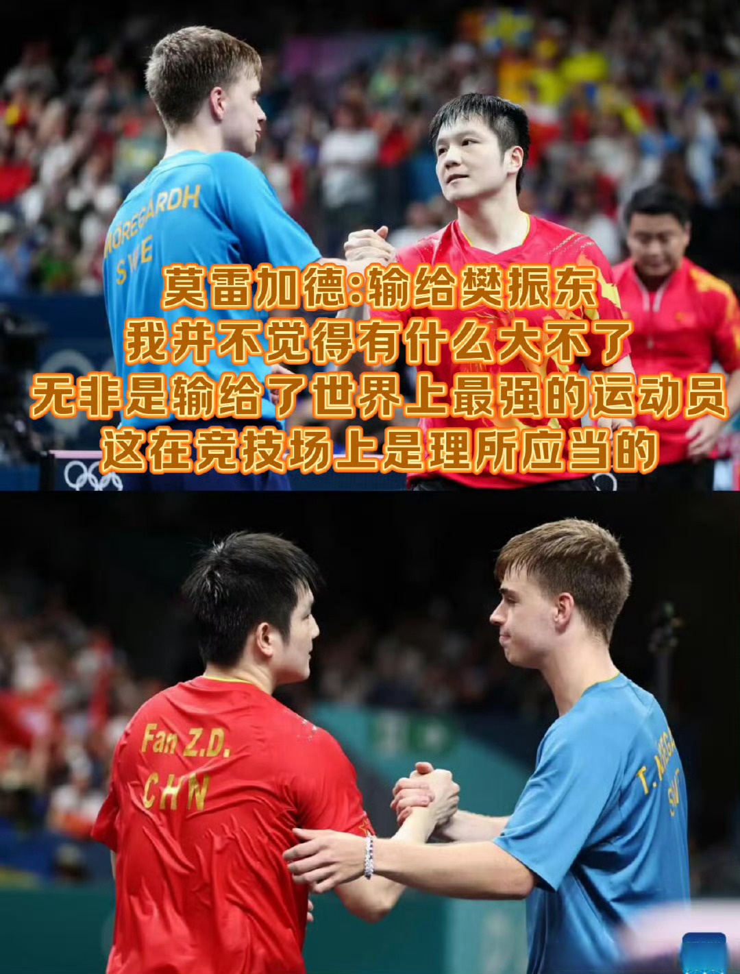 英国乒乓球队绝地反击奥地利乒乓球队,樊振东送出助攻的简单介绍 英国乒乓球队绝地反击奥地利乒乓球队,樊振东送出助攻的简单介绍