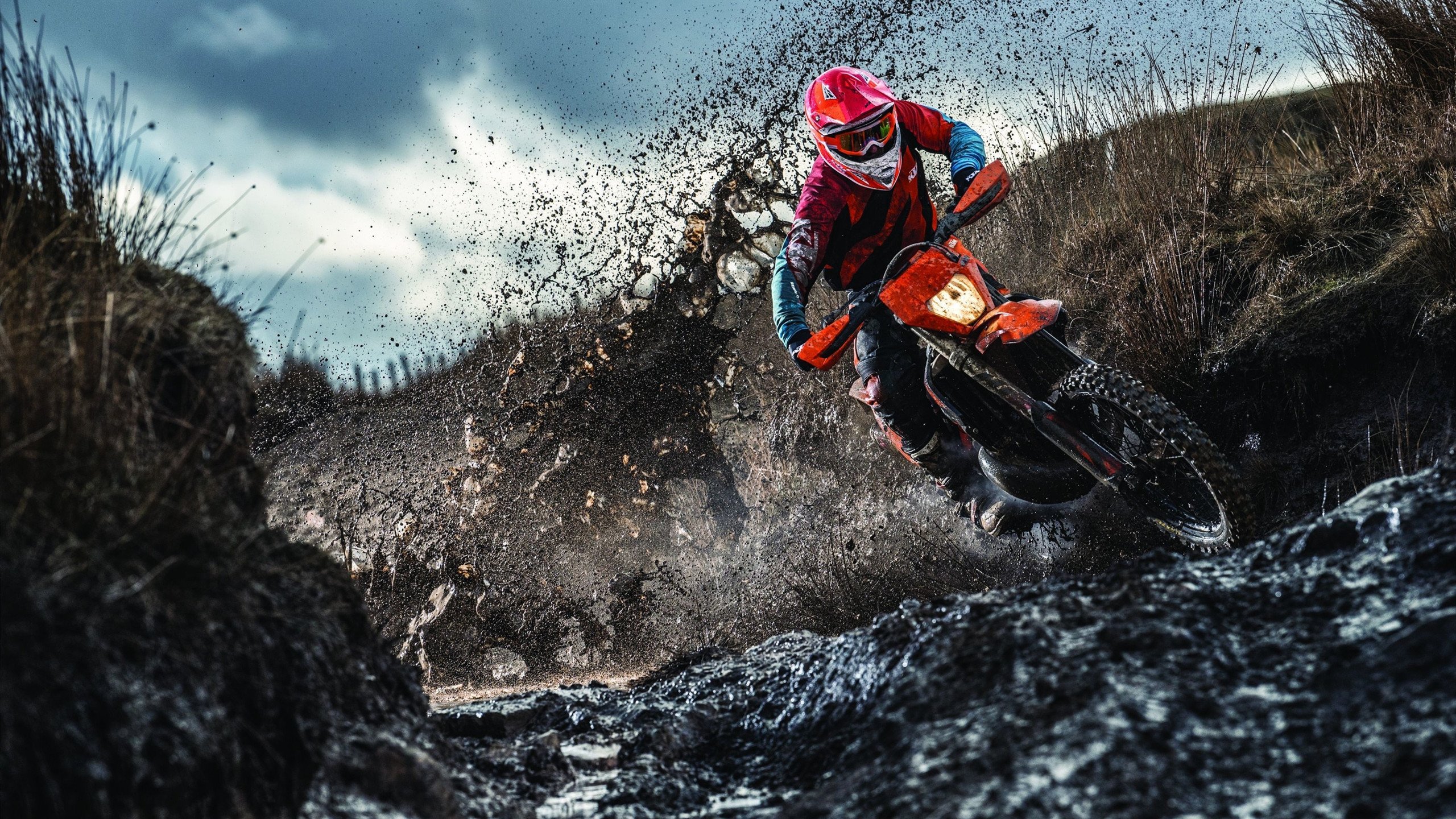 跨越赛场的统治力，从灰熊的战术终结到字母哥的欧冠接管